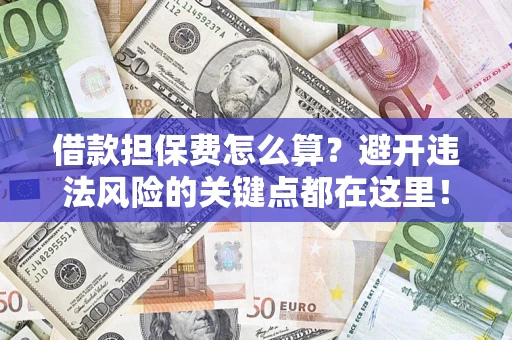 济南借款担保费怎么算？避开违法风险的关键点都在这里！