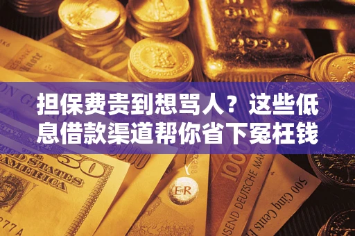 济南担保费贵到想骂人？这些低息借款渠道帮你省下冤枉钱