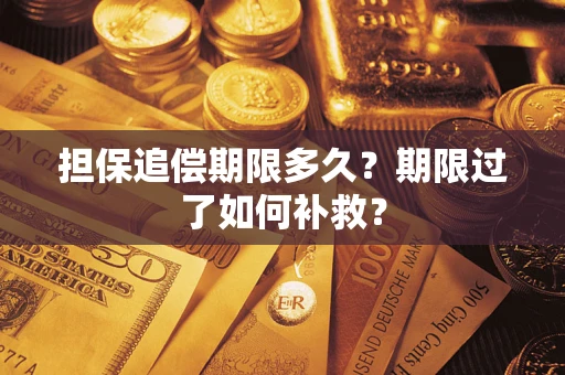 济南担保追偿期限多久？期限过了如何补救？