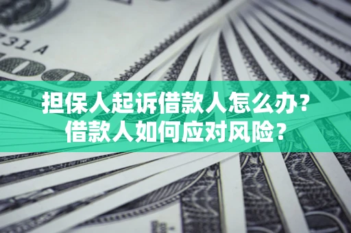 济南担保人起诉借款人怎么办？借款人如何应对风险？