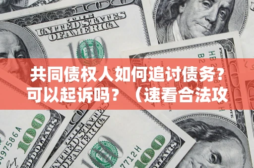济南共同债权人如何追讨债务？可以起诉吗？（速看合法攻略）